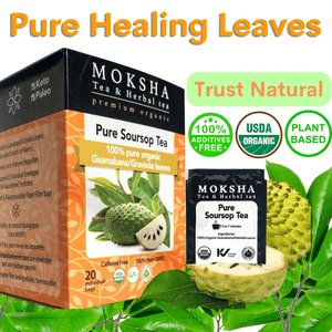 Pure Soursop Tea   20 Enveloped  Organic Tea Bags  made with Real (Guanabana/Graviola) Leaf